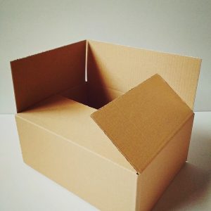 Klopová krabica